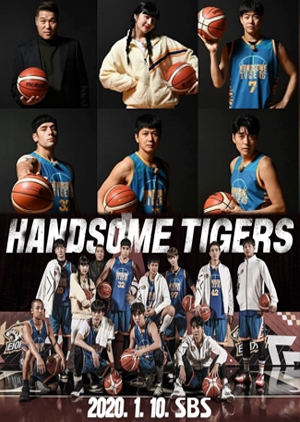 Handsome Tigers 