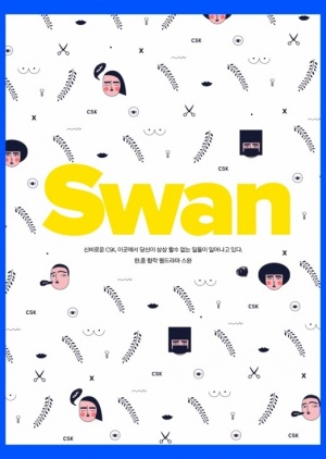 Swan 